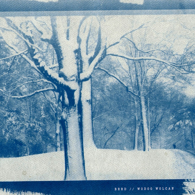 DT003: Brrd / Wodoo Wolcan cover art