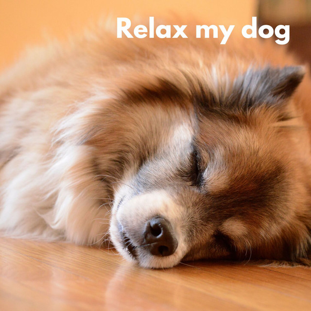 Dog Chill (Loopable, No Fade) cover art