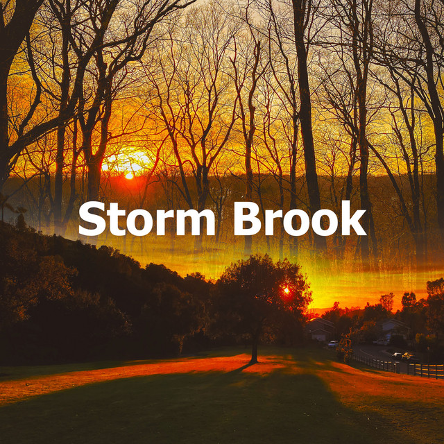Storm Brook - Album by Pro Sound Effects Library | Spotify