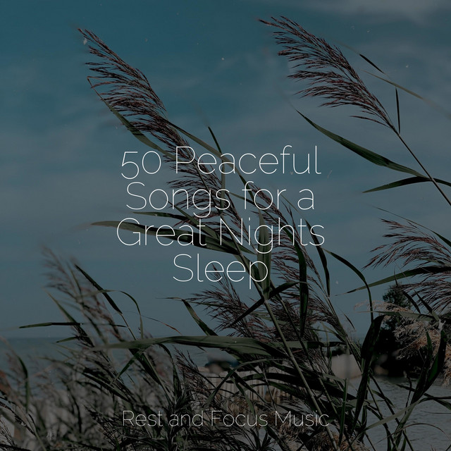 50 Peaceful Songs for a Great Nights Sleep cover art