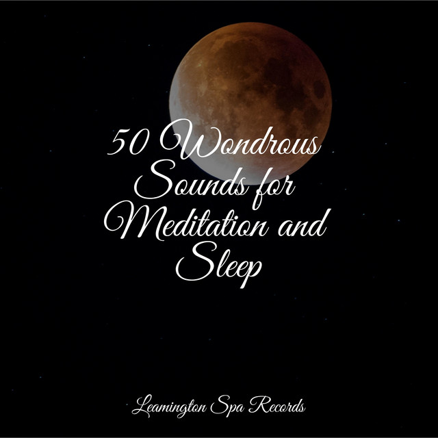 50 Wondrous Sounds for Meditation and Sleep - Album by Sounds of Nature ...