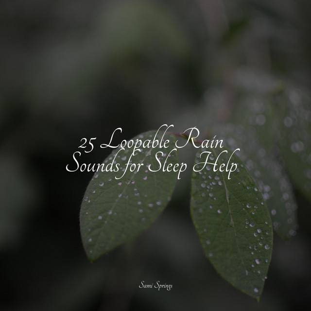 25 Loopable Rain Sounds for Sleep Help - Album by Spa | Spotify