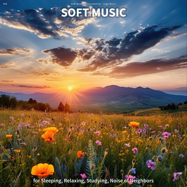 #01 Soft Music for Sleeping, Relaxing, Studying, Noise of Neighbors ...