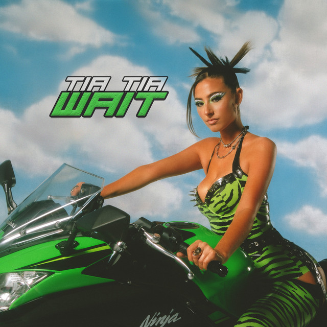 Wait cover art