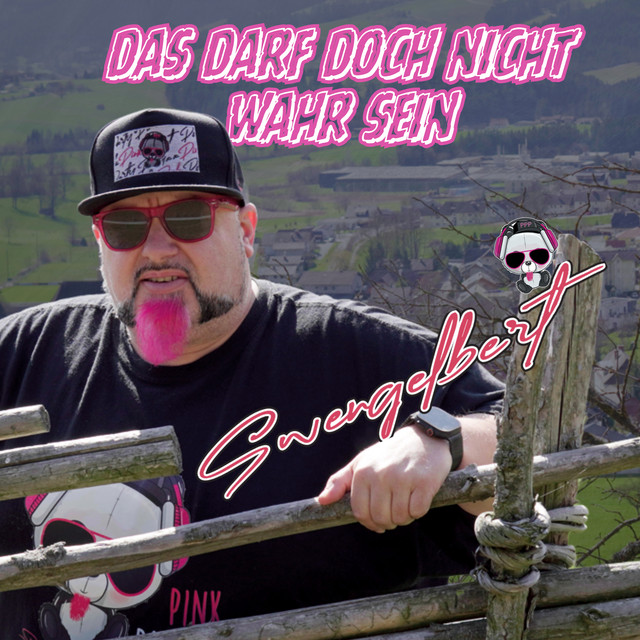 Das darf doch nicht wahr sein cover art