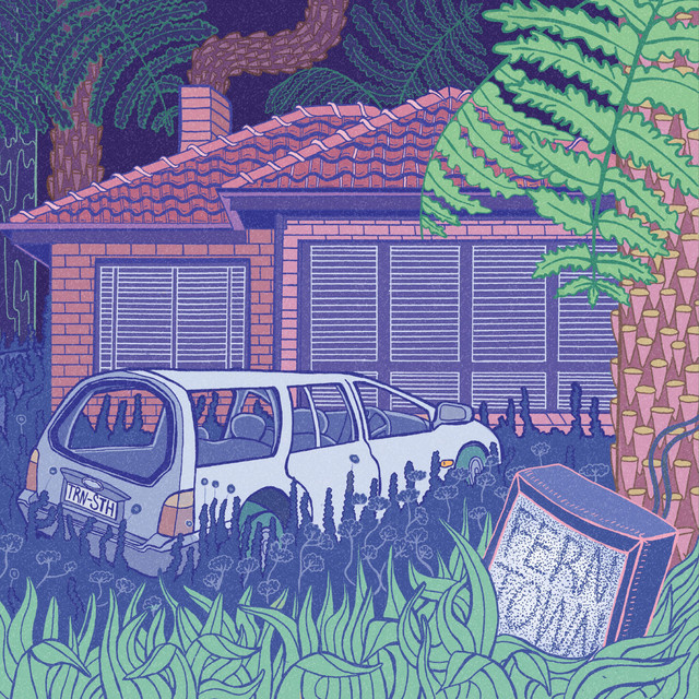 Fern Town cover art