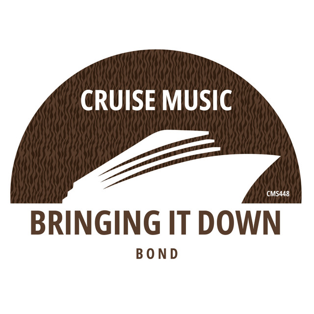 Bringing It Down album art