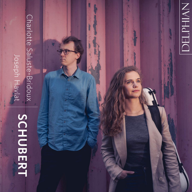 Schubert: Du liebst mich nicht, D. 756 (Arr. for Violin and Piano by Charlotte Saluste-Bridoux and Joseph Havlat)