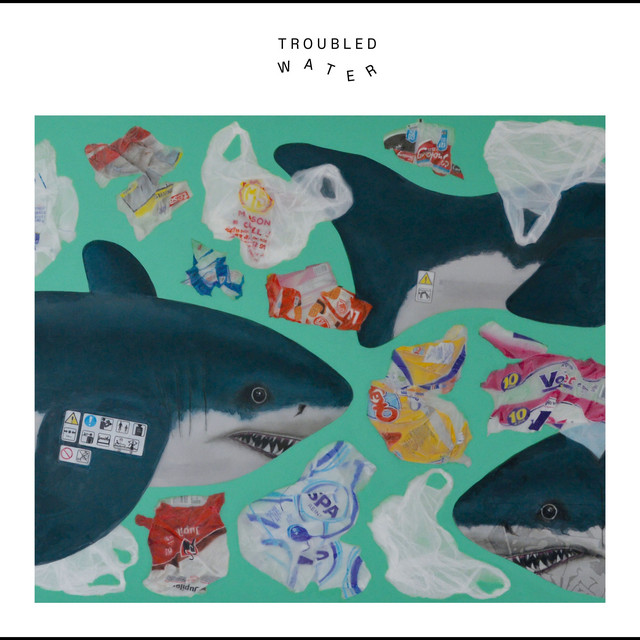 Troubled Water cover art