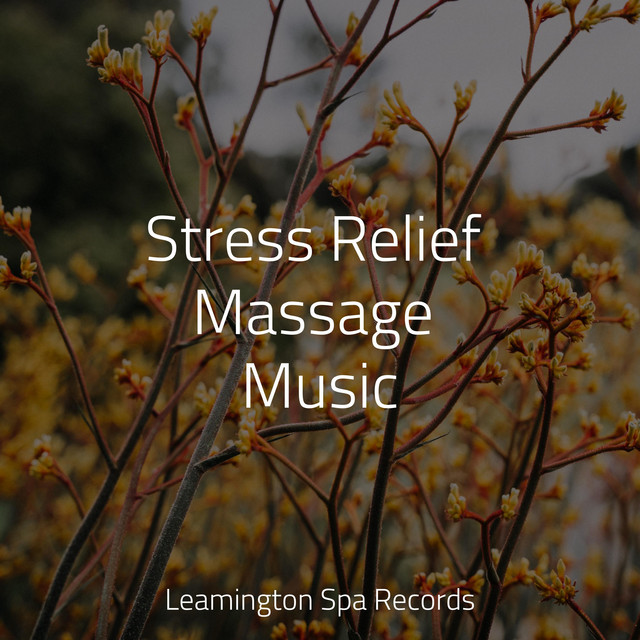 Stress Relief Massage Music - Album by Nature Sounds for Sleep and ...