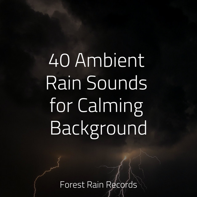 40 Ambient Rain Sounds for Calming Background - Album by Pro Sound ...