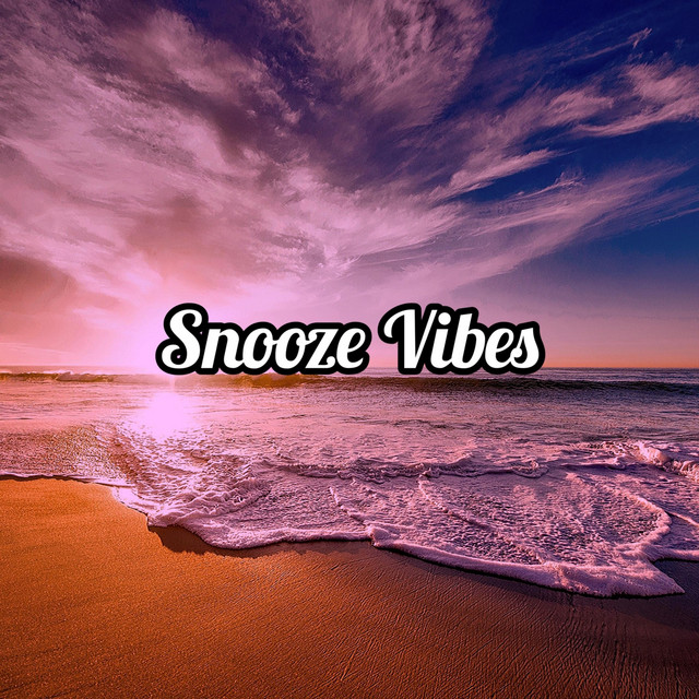 Snooze Vibes cover art