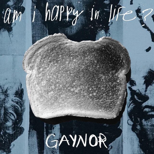 Am I Happy in Life? cover art