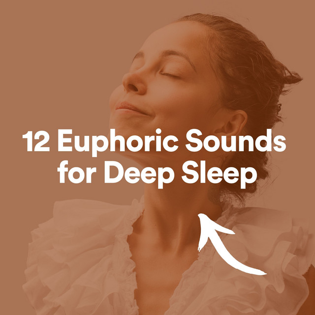 12 Euphoric Sounds for Deep Sleep - Album by Meditation Music | Spotify