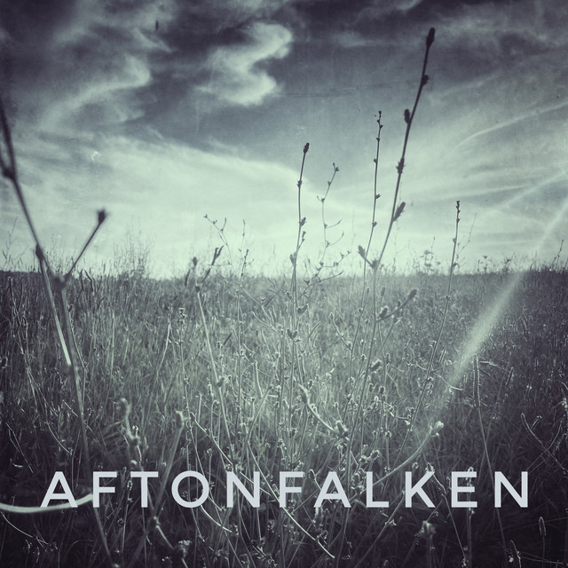 Aftonfalken album image