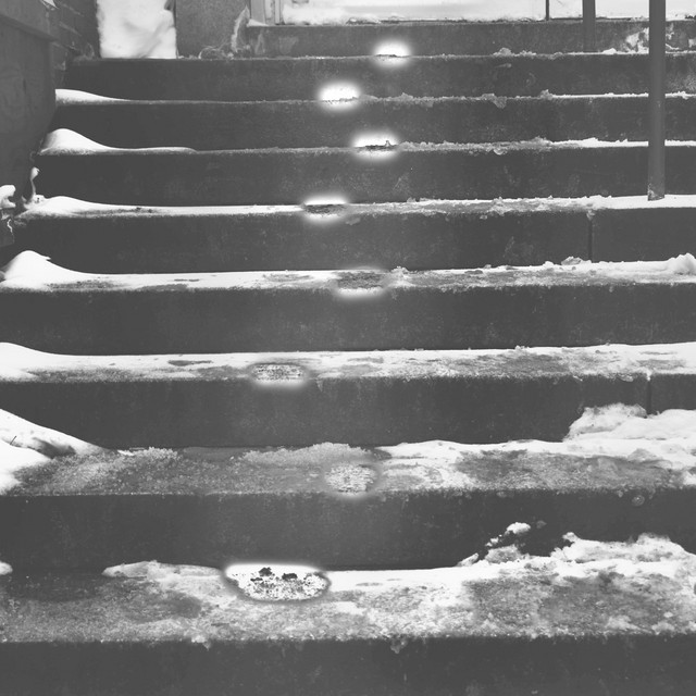 luusir cover art