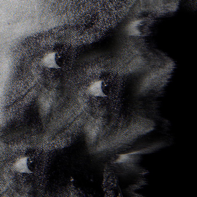 WHO? cover