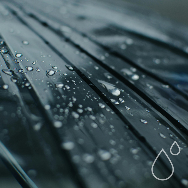 Rainy Coastline by Hydrometry