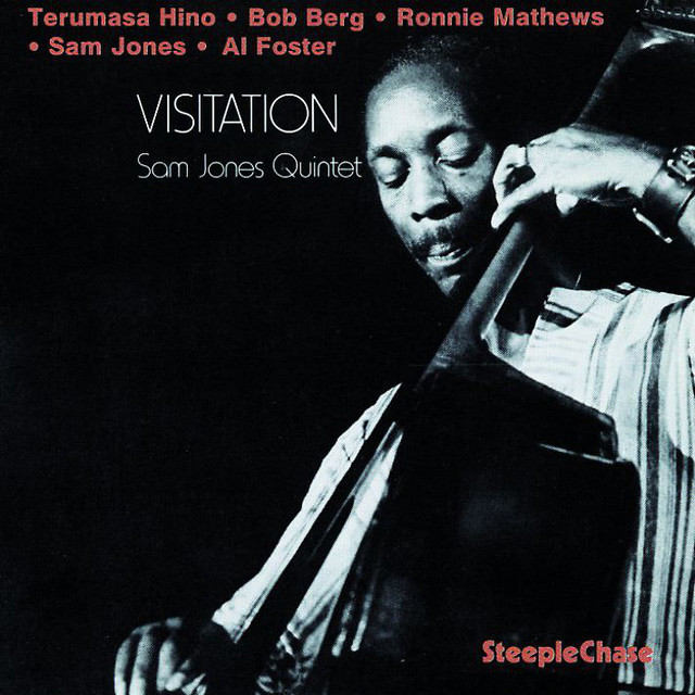 Visitation cover art