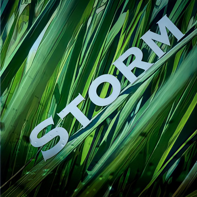 Storm cover art