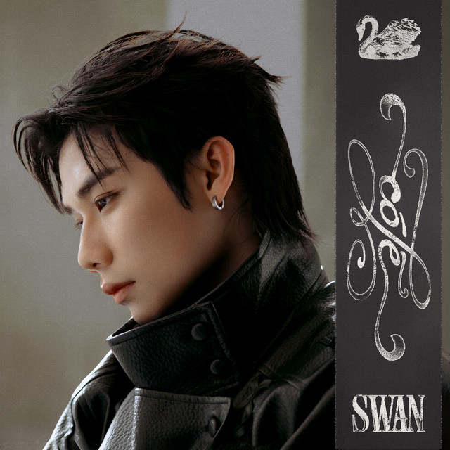 có lẽ cover art