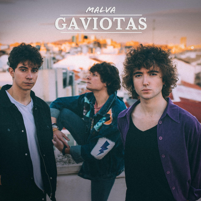 Gaviotas