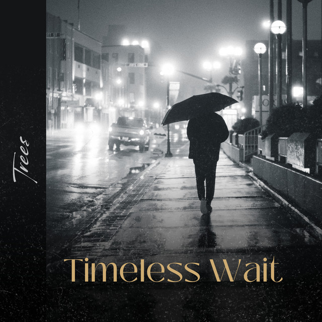Timeless Wait cover art