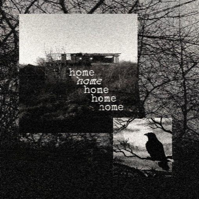 Обкладинка: Home — stereo.ashes