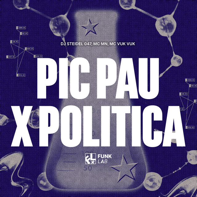 PIC PAU X POLITICA