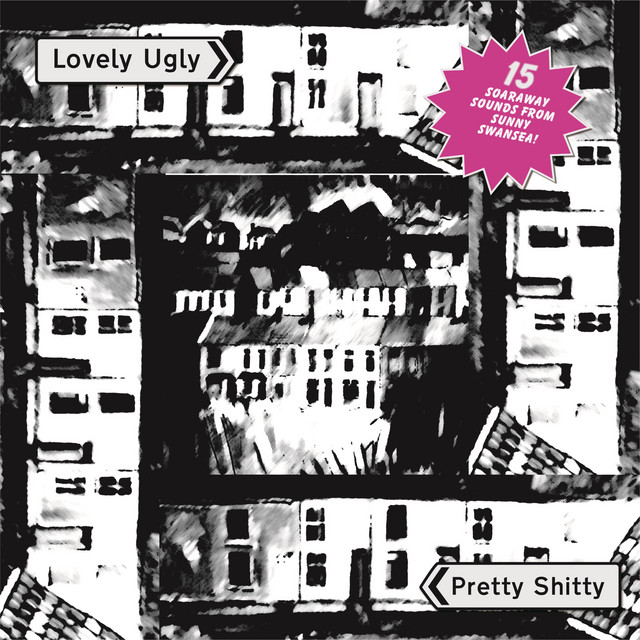 Lovely Ugly / Pretty Shitty cover art