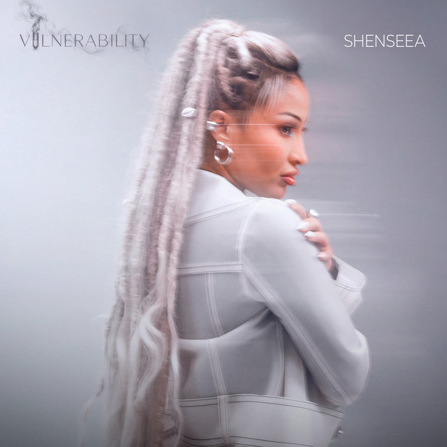 Vulnerability album image