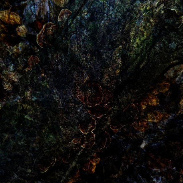 The Hungry God cover