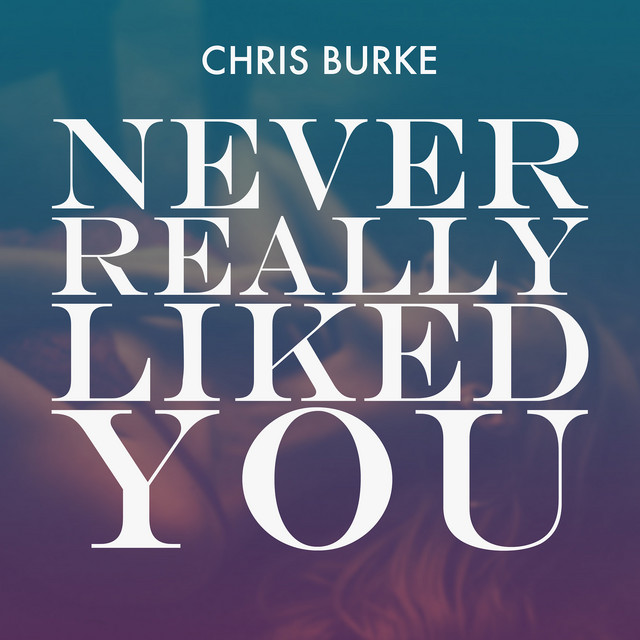 Never Really Liked You cover art