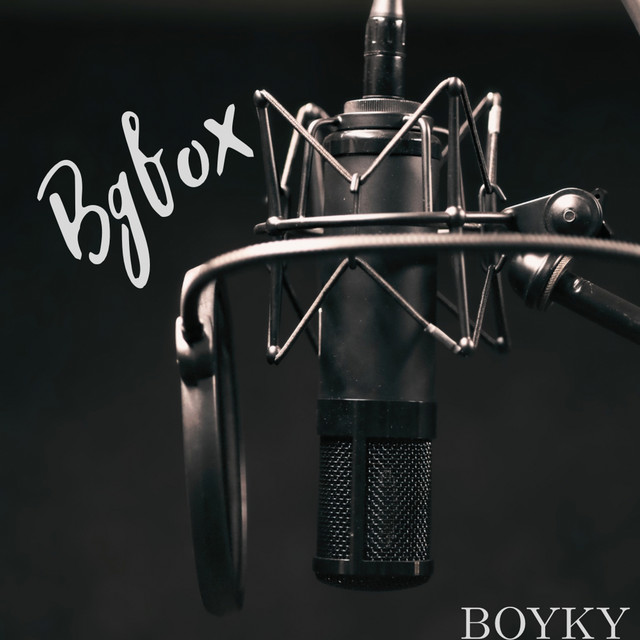 Обкладинка: Вдвох — BOYKY
