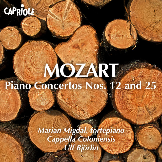 Piano Concerto No. 12 in A Major, K. 414: II. Andante
