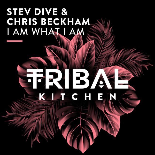 I Am What I Am - Extended Mix album art