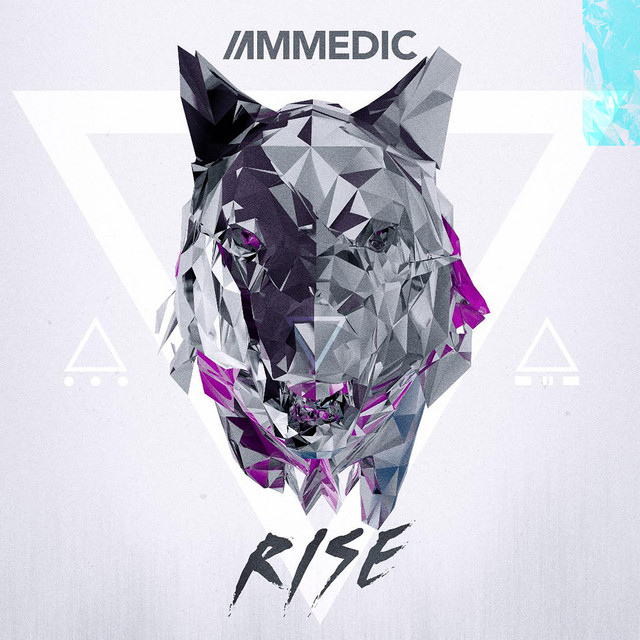 Rise cover art