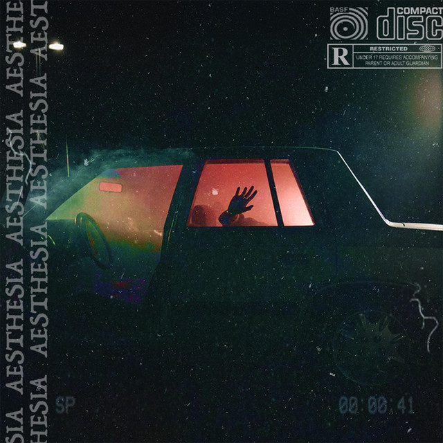 aesthesia cover art