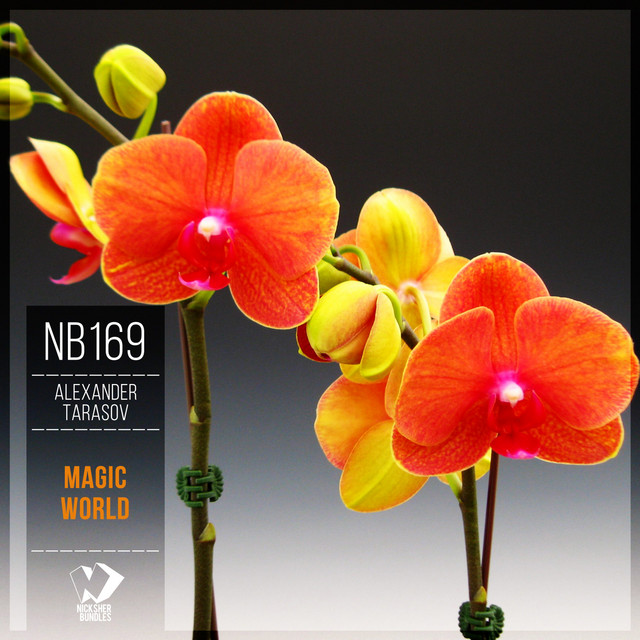 Magic World cover art
