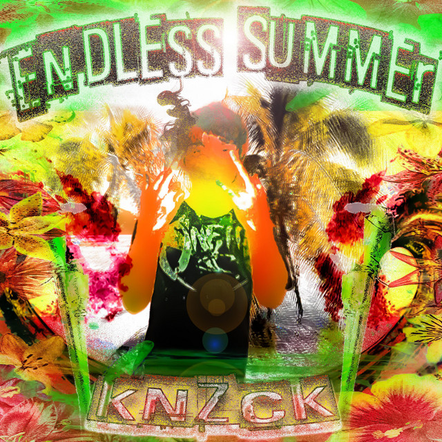Endless Summer cover art