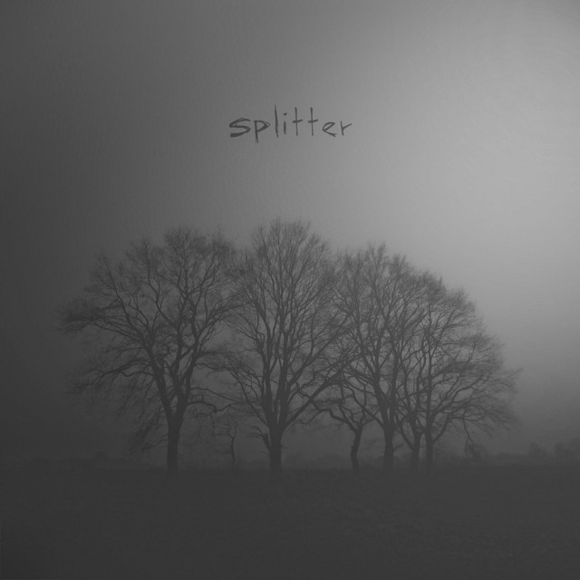 Splitter cover art