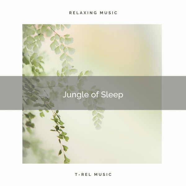 Jungle of Sleep cover art