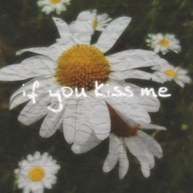 Обкладинка: IfYouKissMe — DeadDogTired