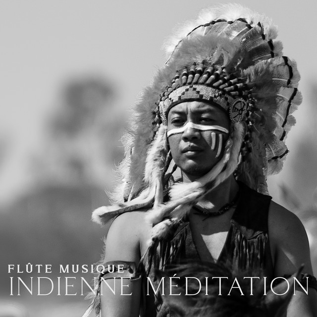 Flûte Musique indienne méditation: Voyage chamanique, Flute de pan pour détente cover art