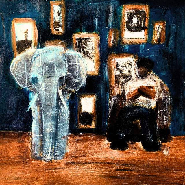 Elefante Na Sala