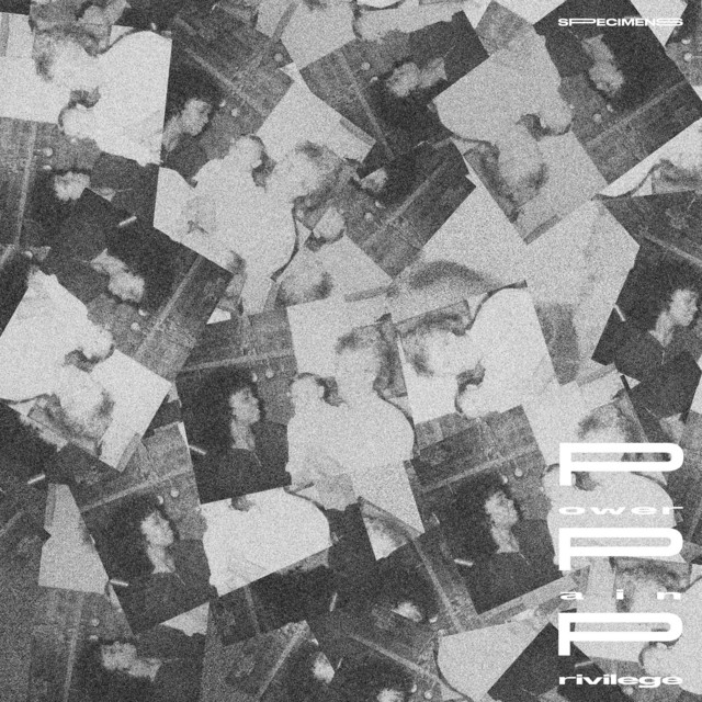Power Pain Privilege cover art
