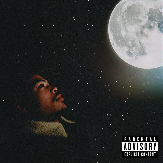 VIE (Instrumental) cover