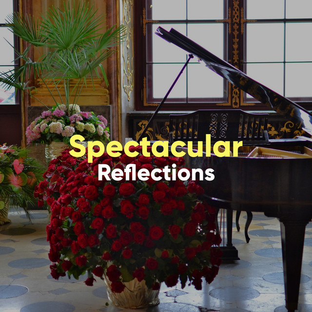 Spectacular Reflections cover art