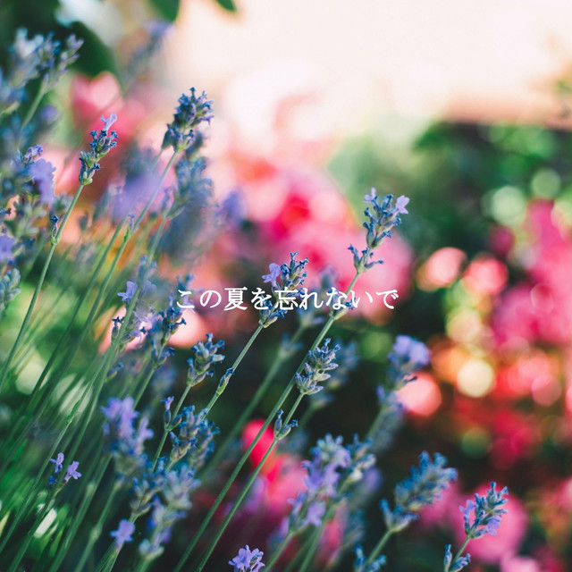 この夏を忘れないで cover art