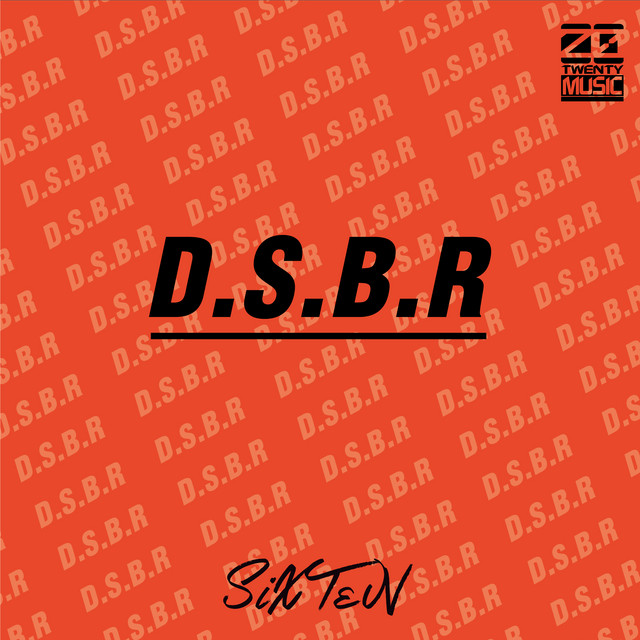D.S.B.R cover